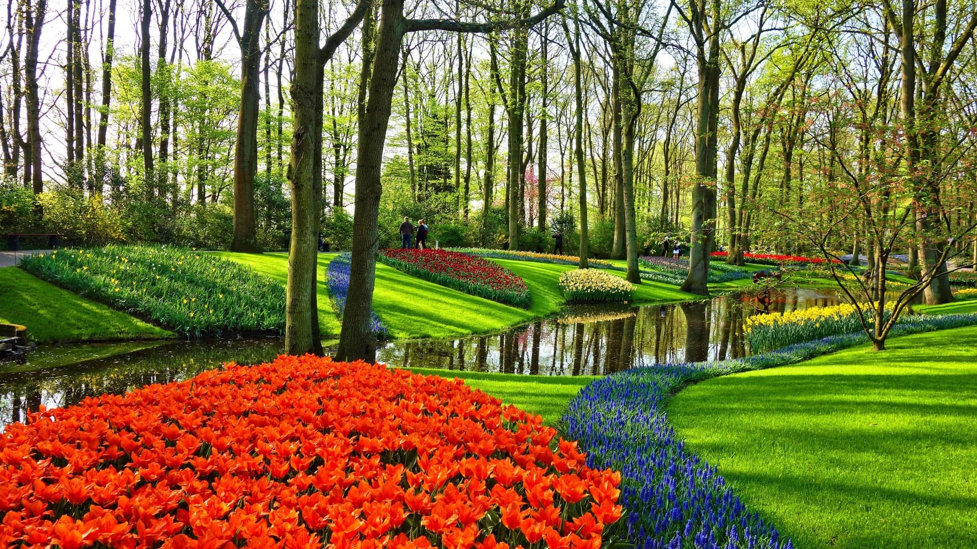 Lifestyle Toplists - The Best Botanical Gardens in the World
