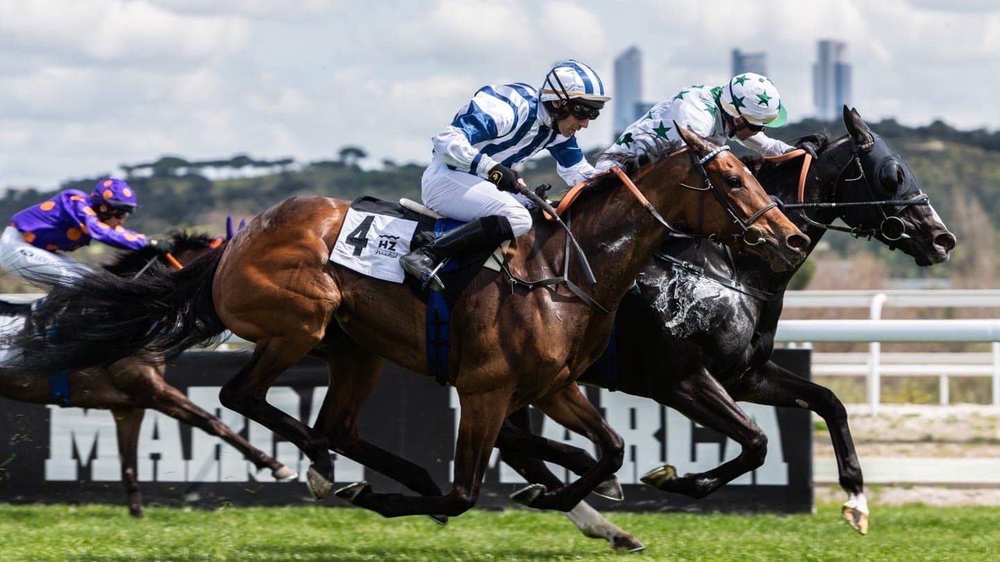 Destinations Articles - Madrid Travel Guide