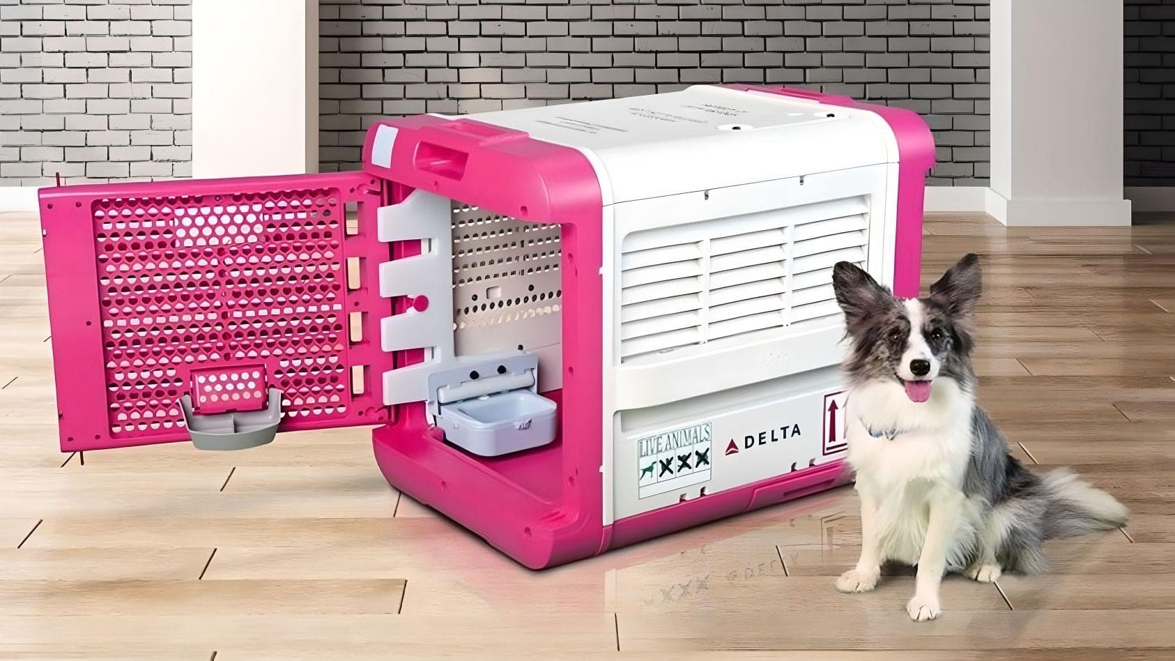 Dog standing beside a pink and white canine suite