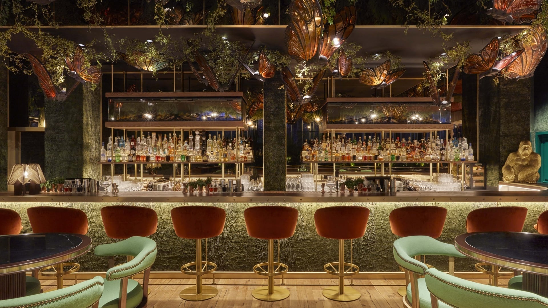 Amazónico from the inside