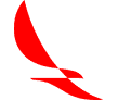 Airline logo