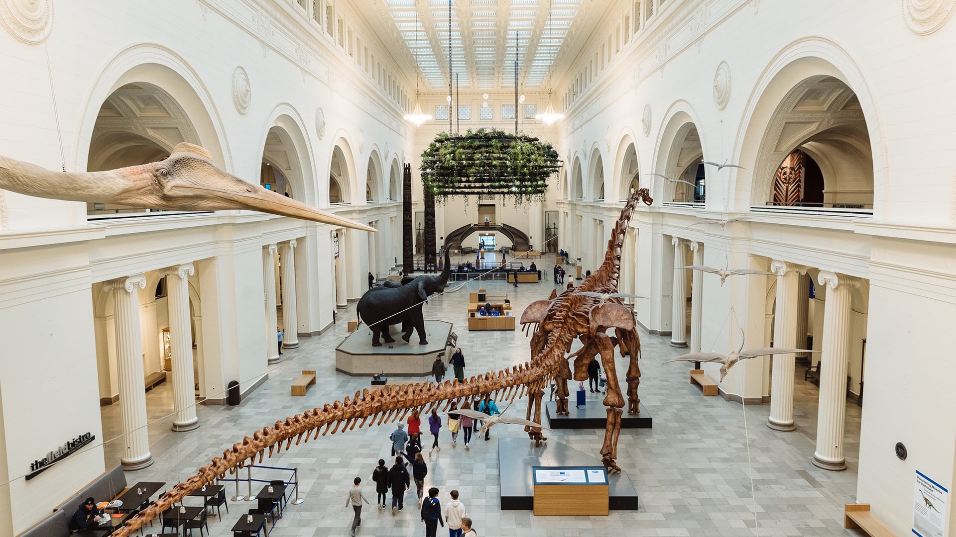 Destinations Articles - Chicago Travel Guide