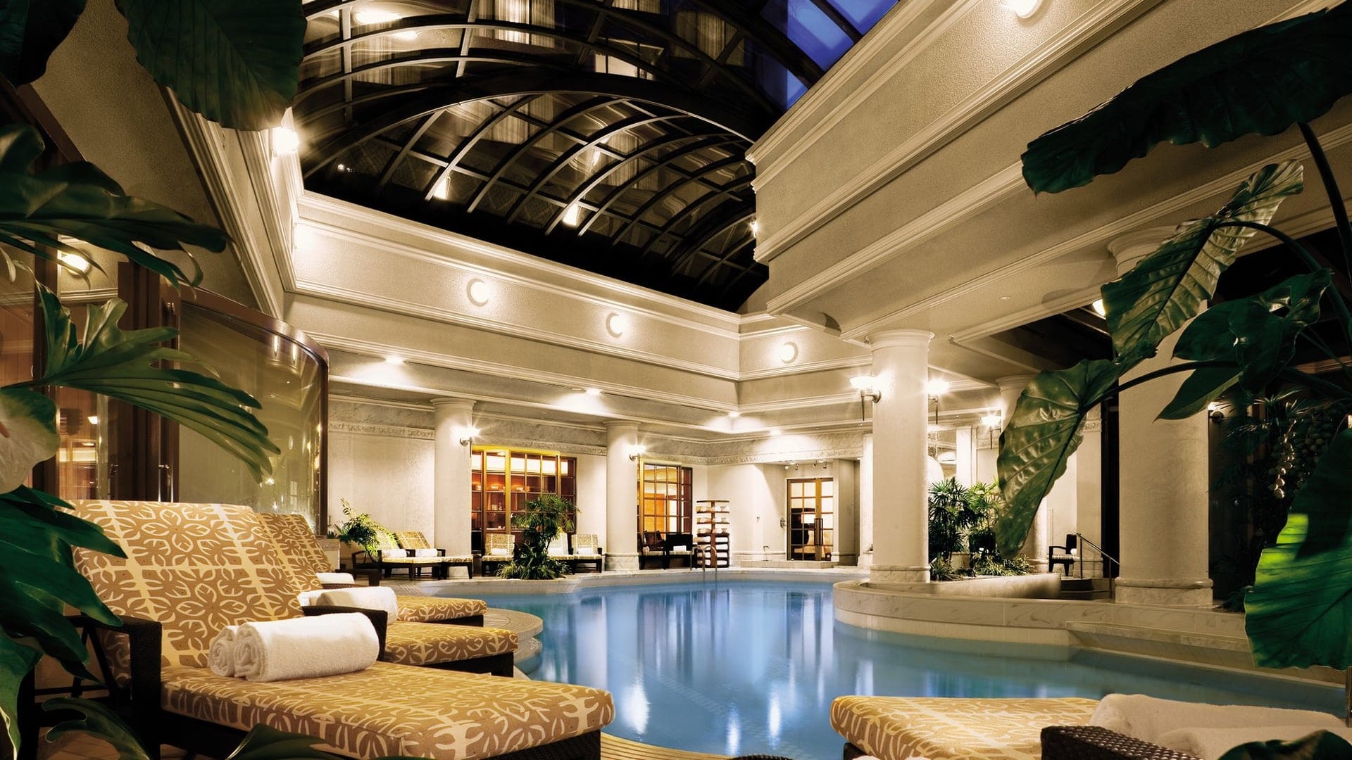 Beautiful bathing area with glass roof, beige sunbeds and plants giving a tropical vibe.
