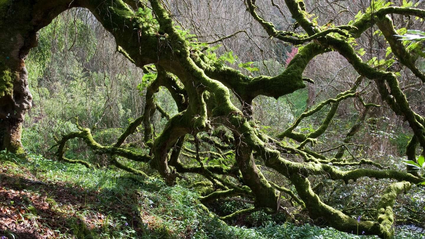 Hotel review Sustainability' - Hotel Endsleigh - 1