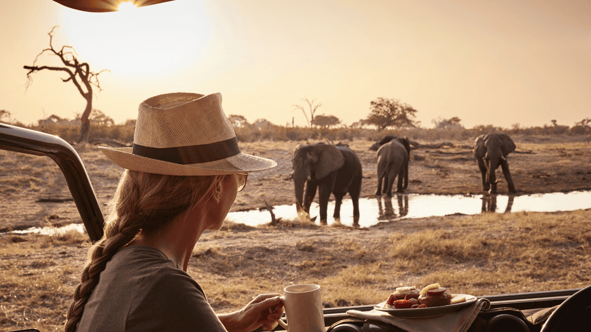 11 Best Modern Safari Experiences In The World image