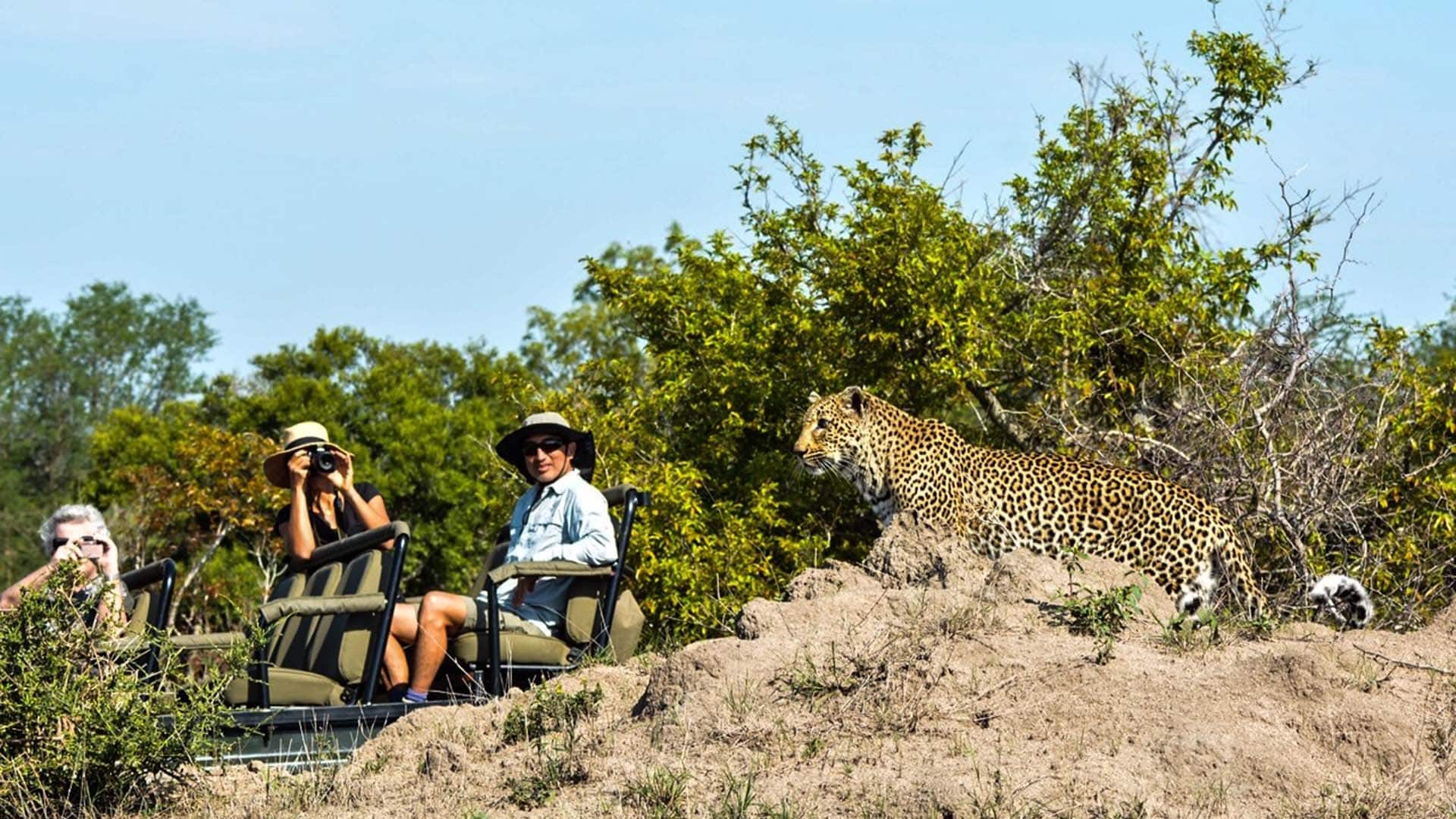 Hotel review Service & Facilities' - Sabi Sabi Private Game Reserve  - 0
