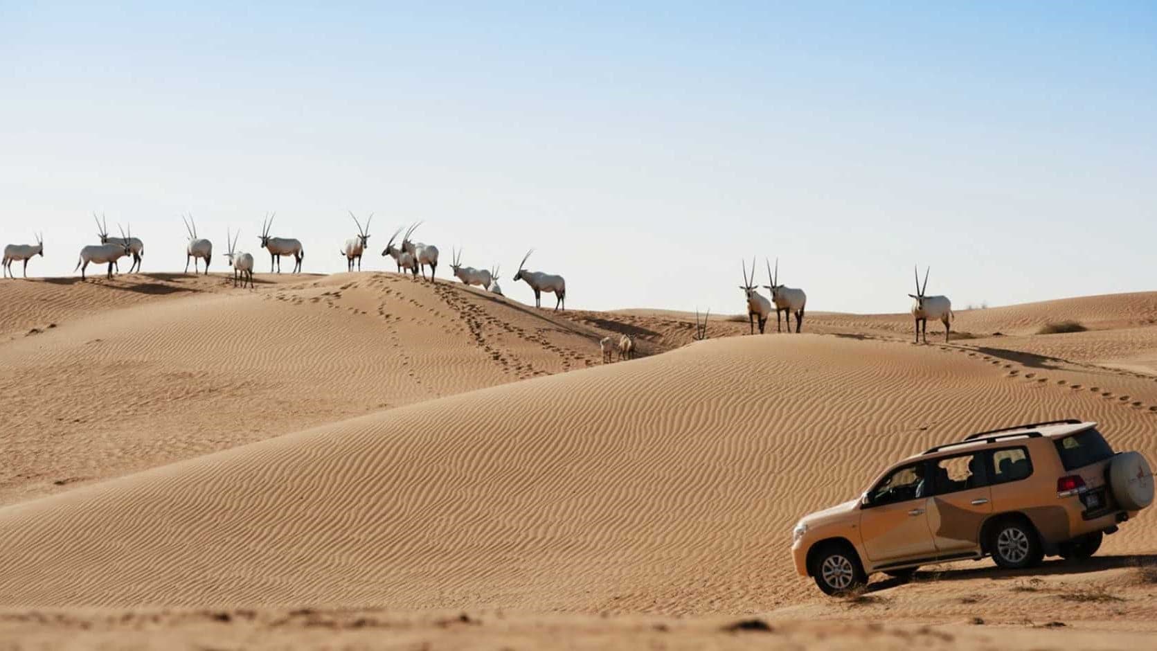 Hotel review Sustainability' - Al Maha a Luxury Collection Desert Resort & Spa Dubai - 0