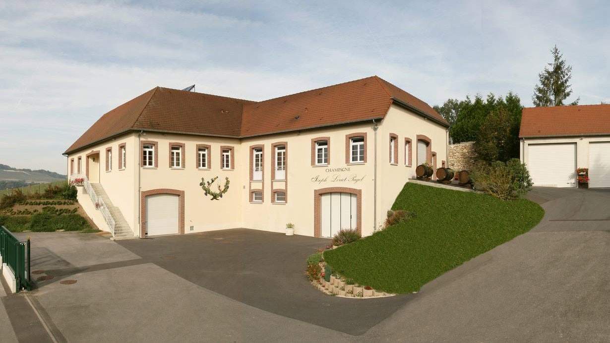 Airlines News - SAS upgrades Champagne offering to “Special Club”