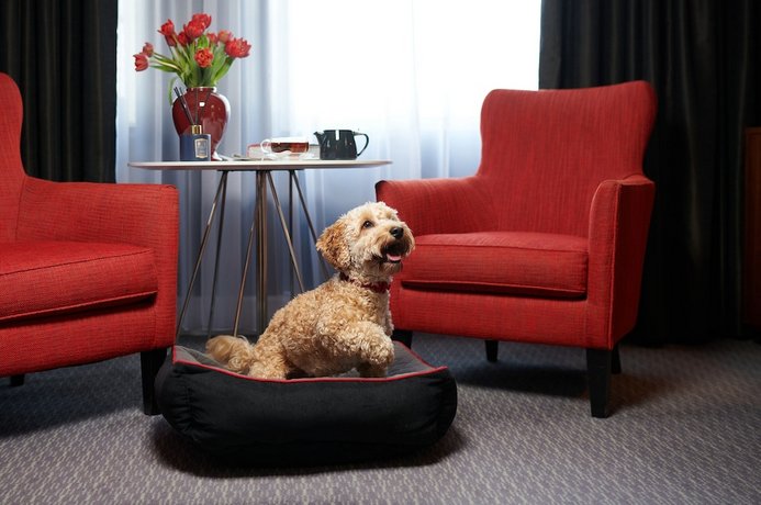 Verified hotel review - The Dilly - 10