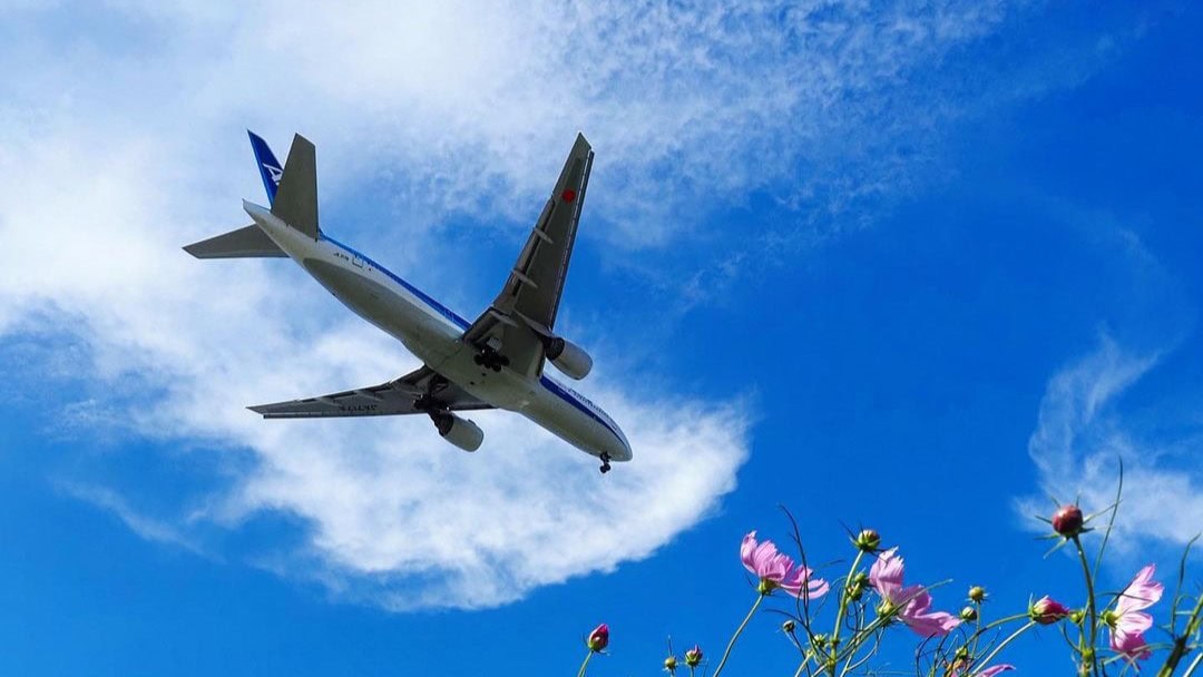 Airlines News - ANA offers free Business Class Wi-Fi from Summer