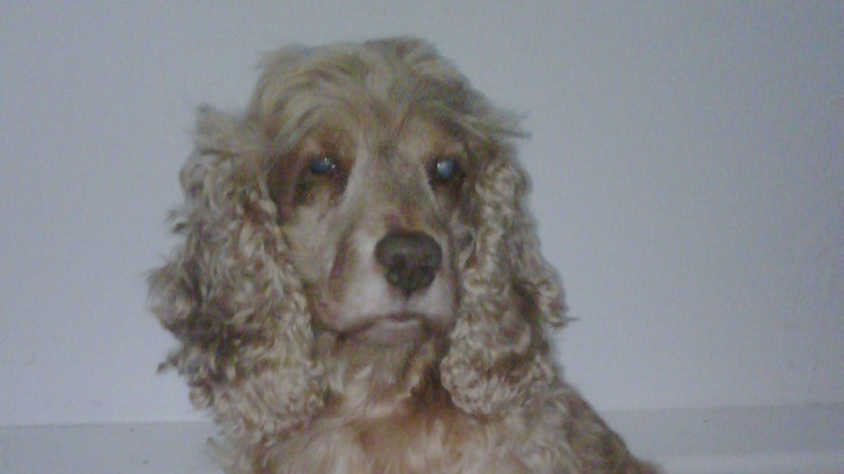 Hotel review What We Love' - The Athenaeum Hotel & Residences  - 4