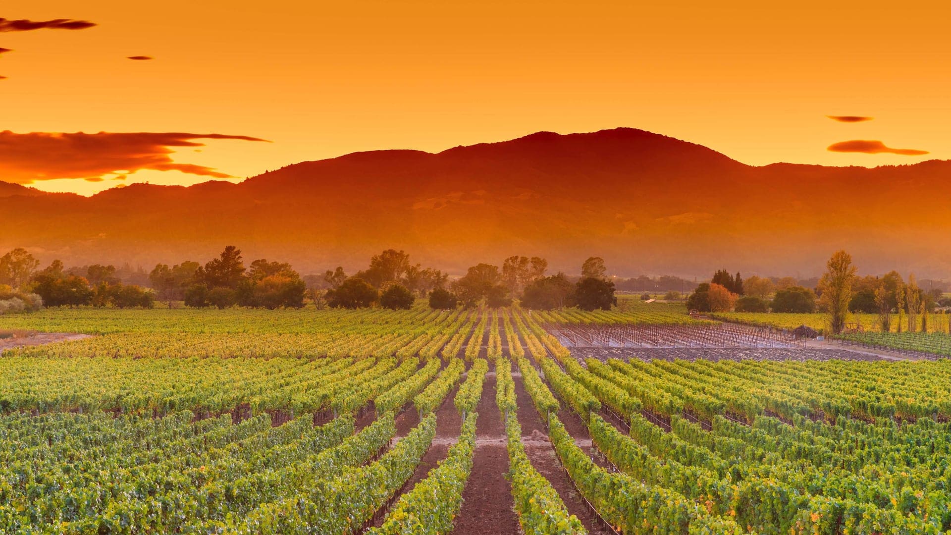 Destinations Articles - San Francisco Travel Guide