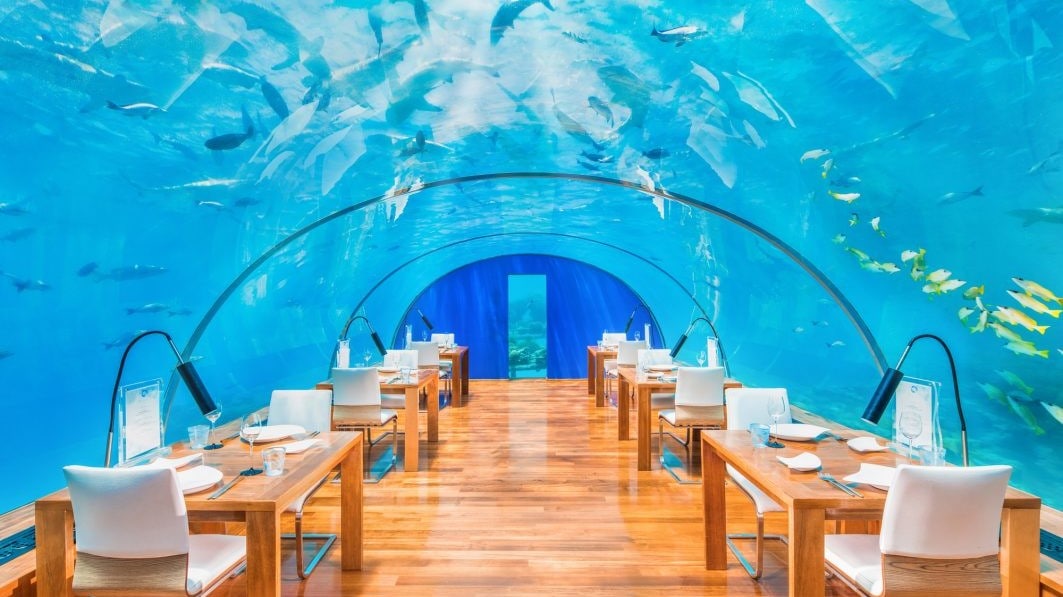 Underwater diving in wooden decor and glass walls at Conrad Maldives Rangali Island.