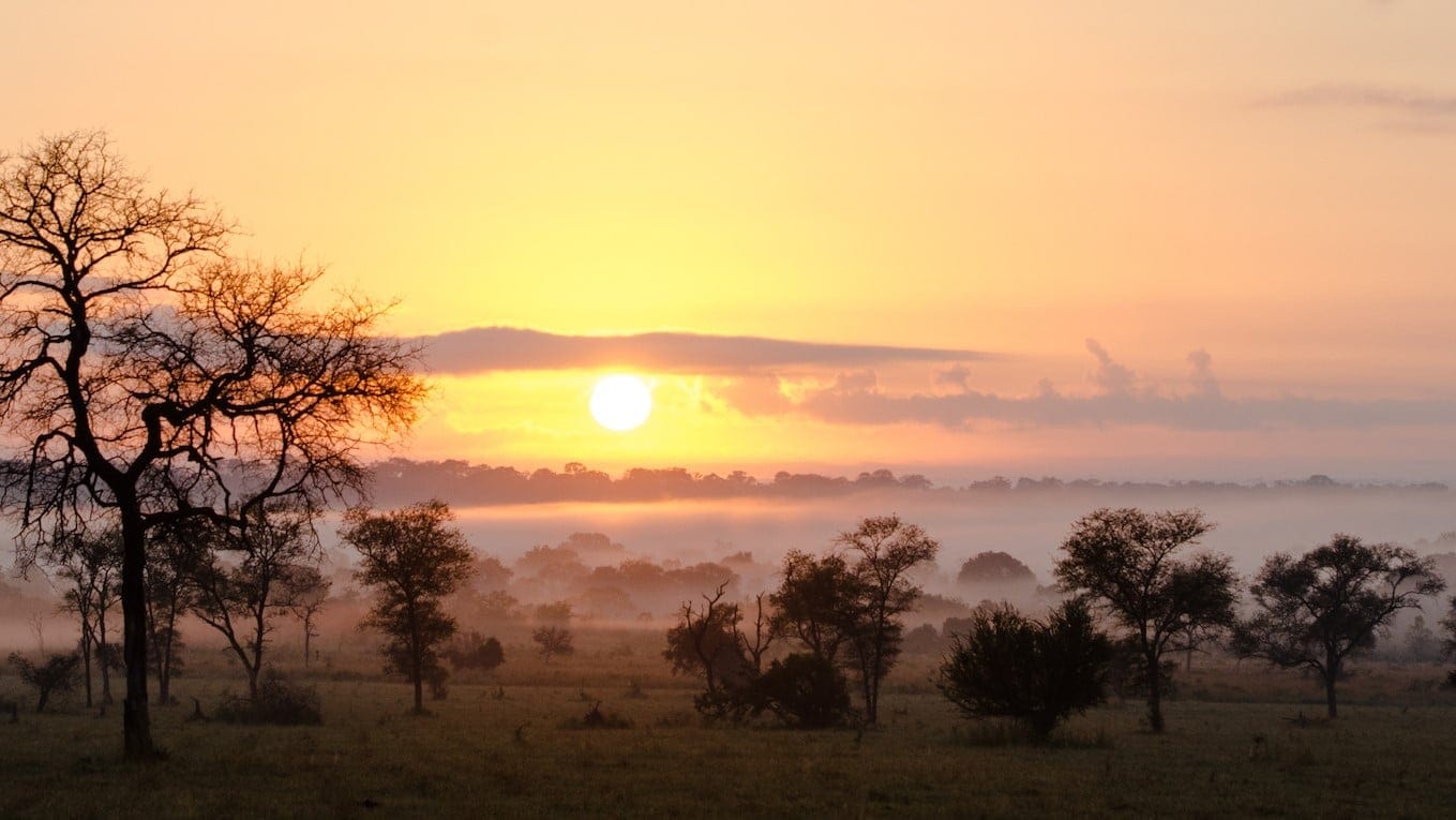 Hotel review Location' - Sabi Sabi Private Game Reserve  - 1