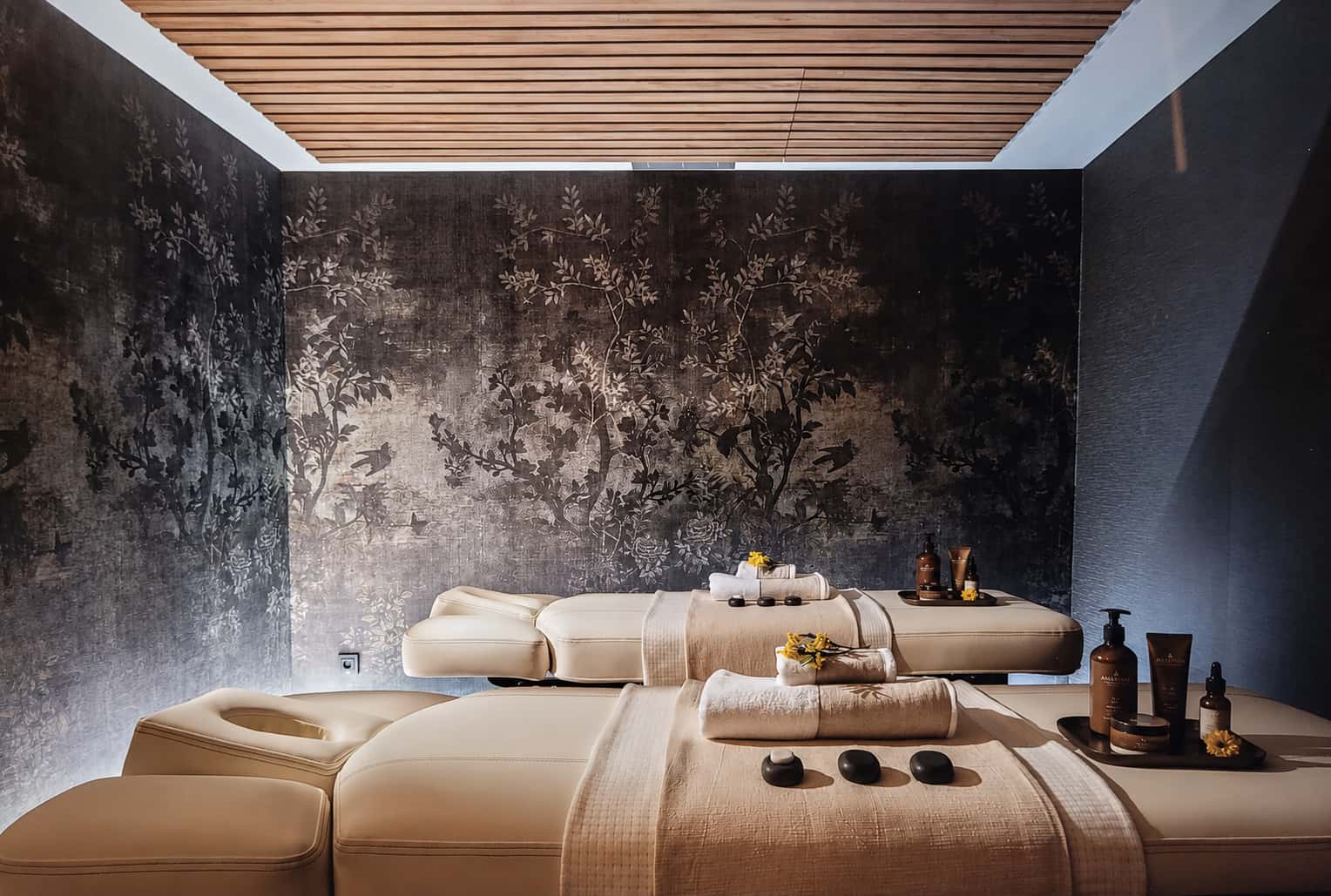 Anantara Plaza Nice Hotel - Spa and Wellness - 3