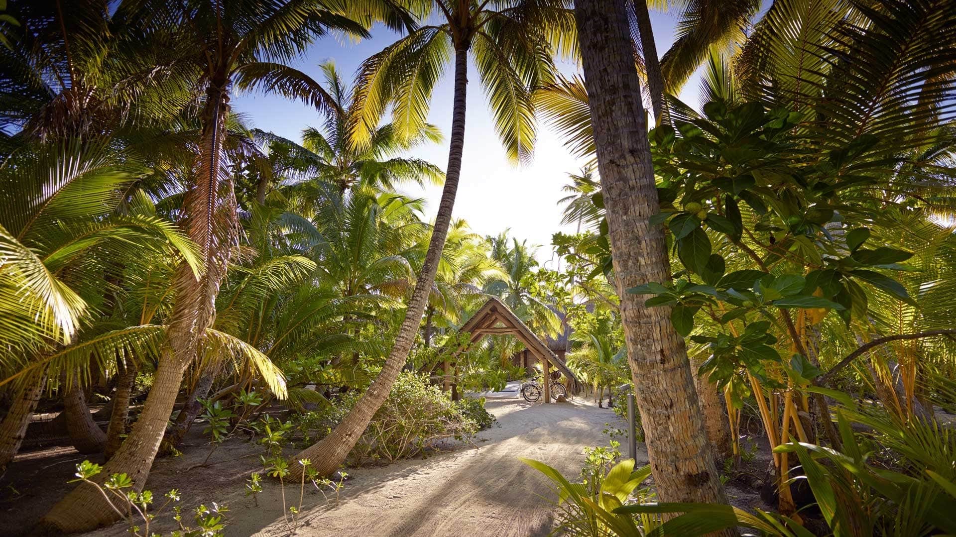 Hotel review Style' - The Brando - 0