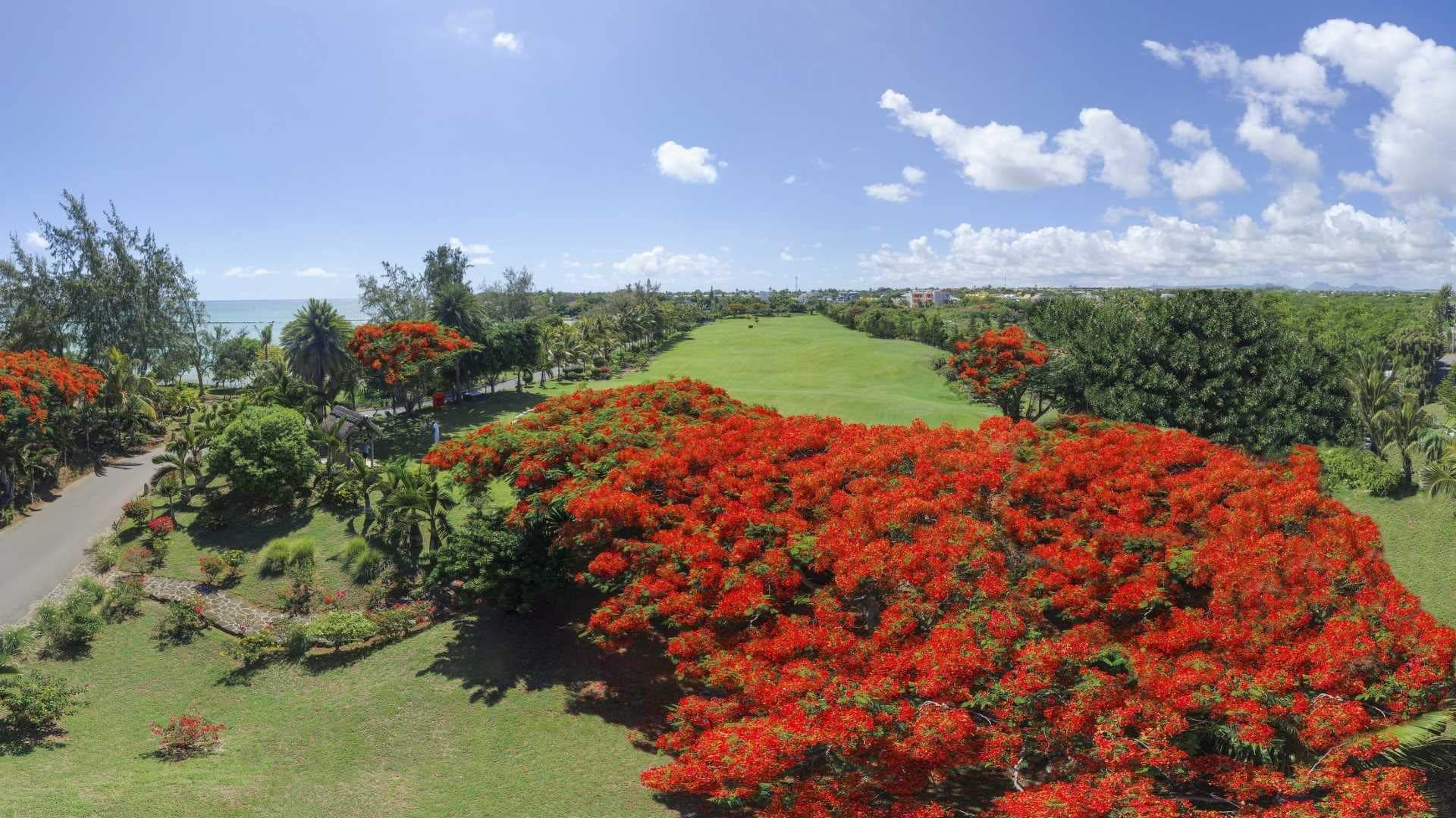 Hotel review Sustainability' - LUX* Grand Gaube - 2