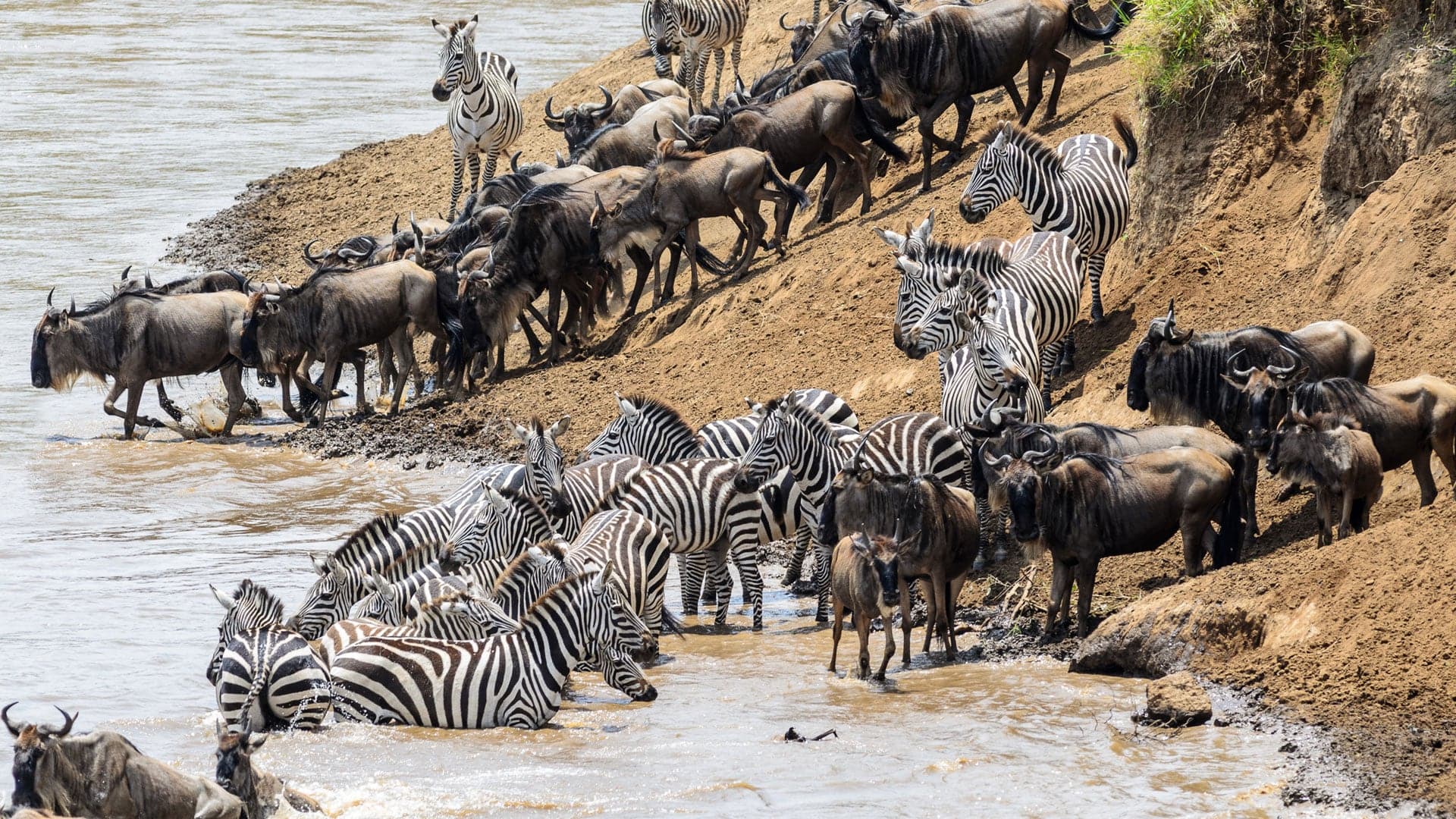 Hotel review Sustainability' - One Nature Nyaruswiga Serengeti - 0