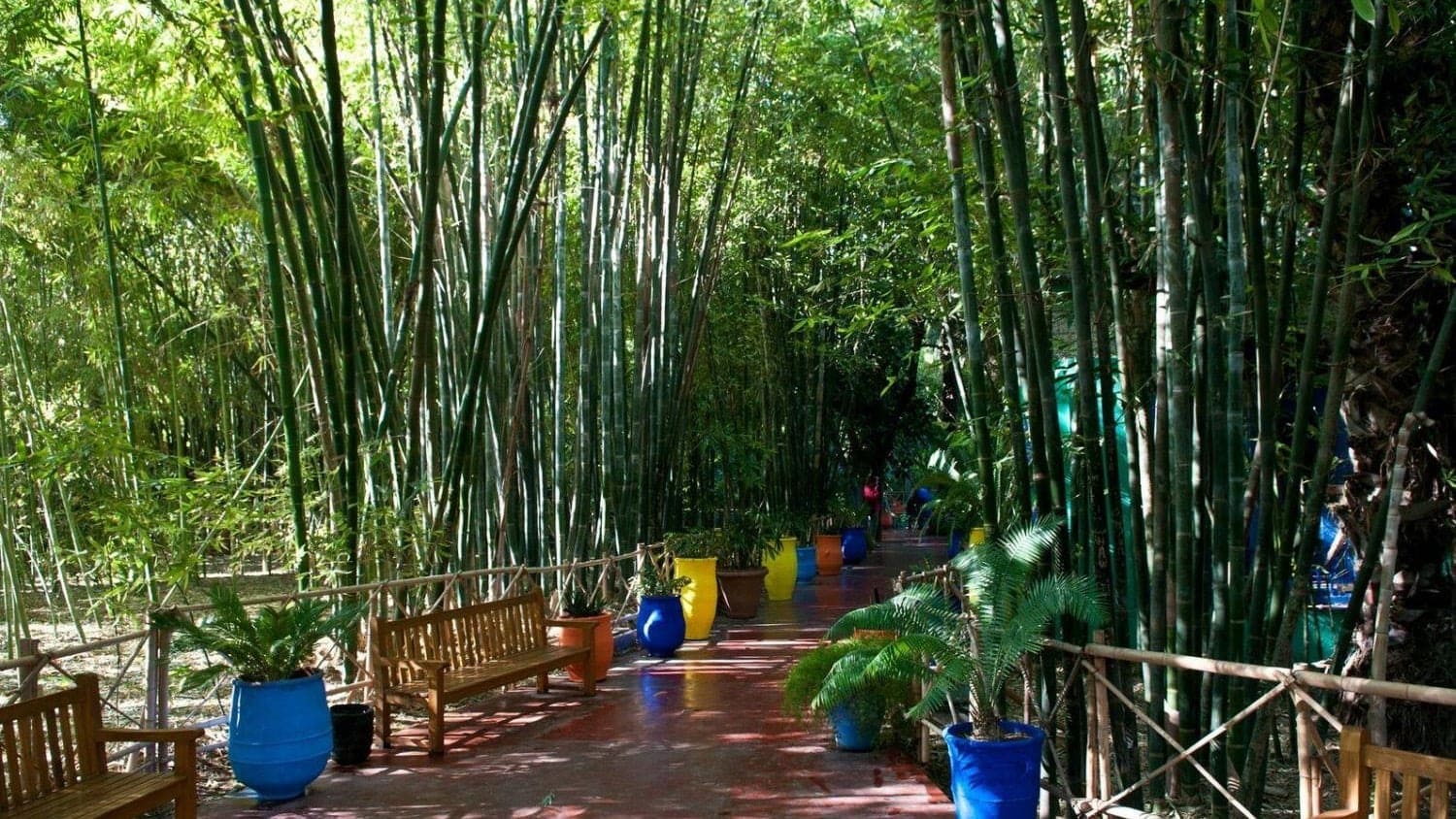 Lifestyle Toplists - The Best Botanical Gardens in the World