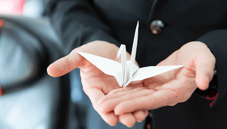 Airline review Sustainability - Japan Airlines - 2