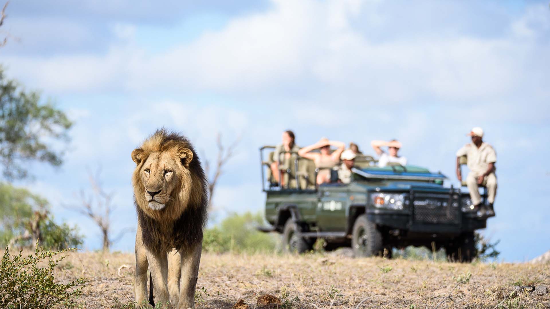 Sabi Sabi Private Game Reserve  image