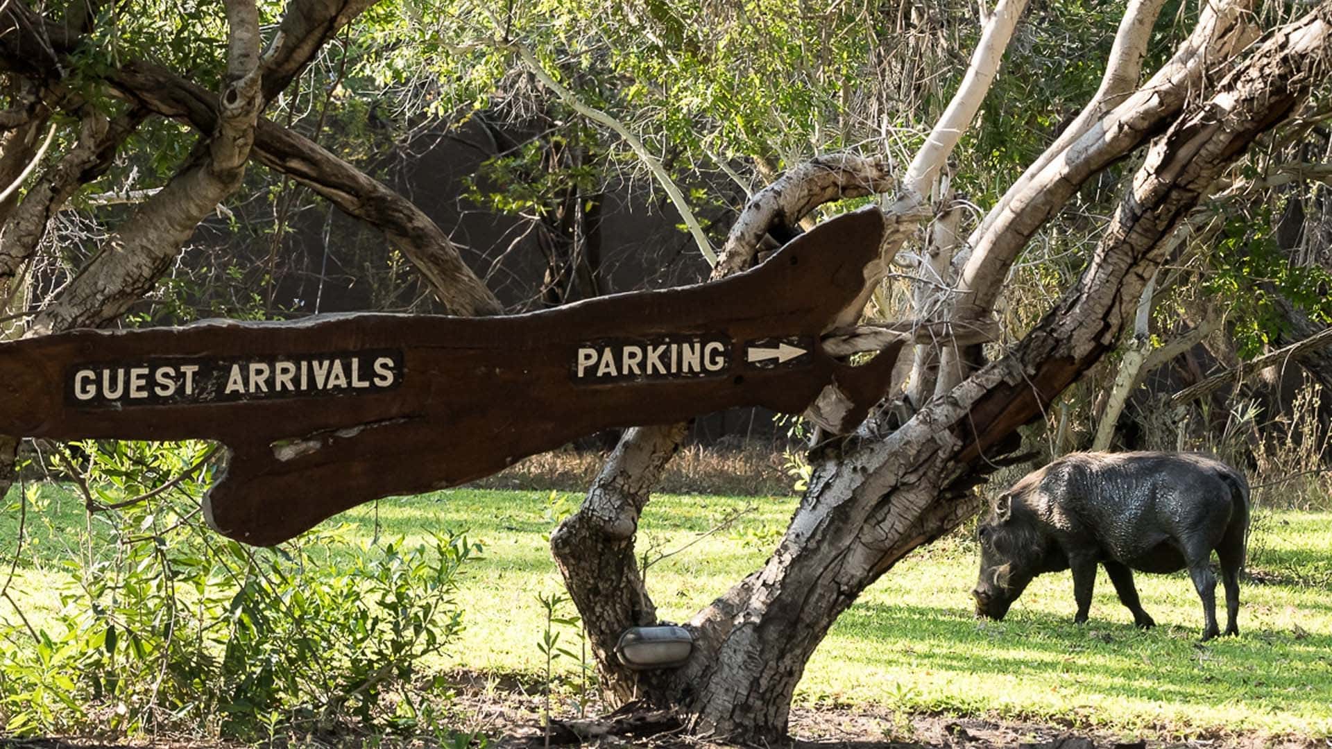 Hotel review Location' - Sabi Sabi Private Game Reserve  - 0