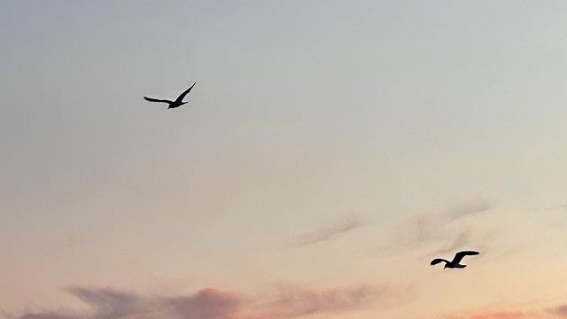 Hotel review Sustainability' - Prince Akatoki London - 1