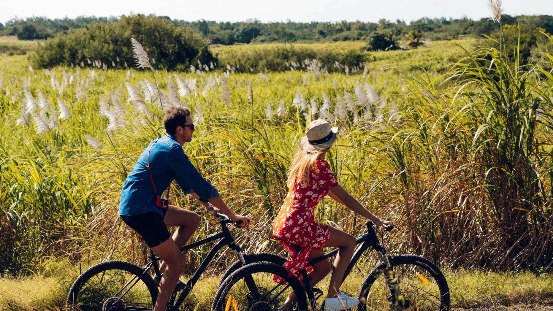 Hotel review Sustainability' - LUX* Grand Gaube - 1