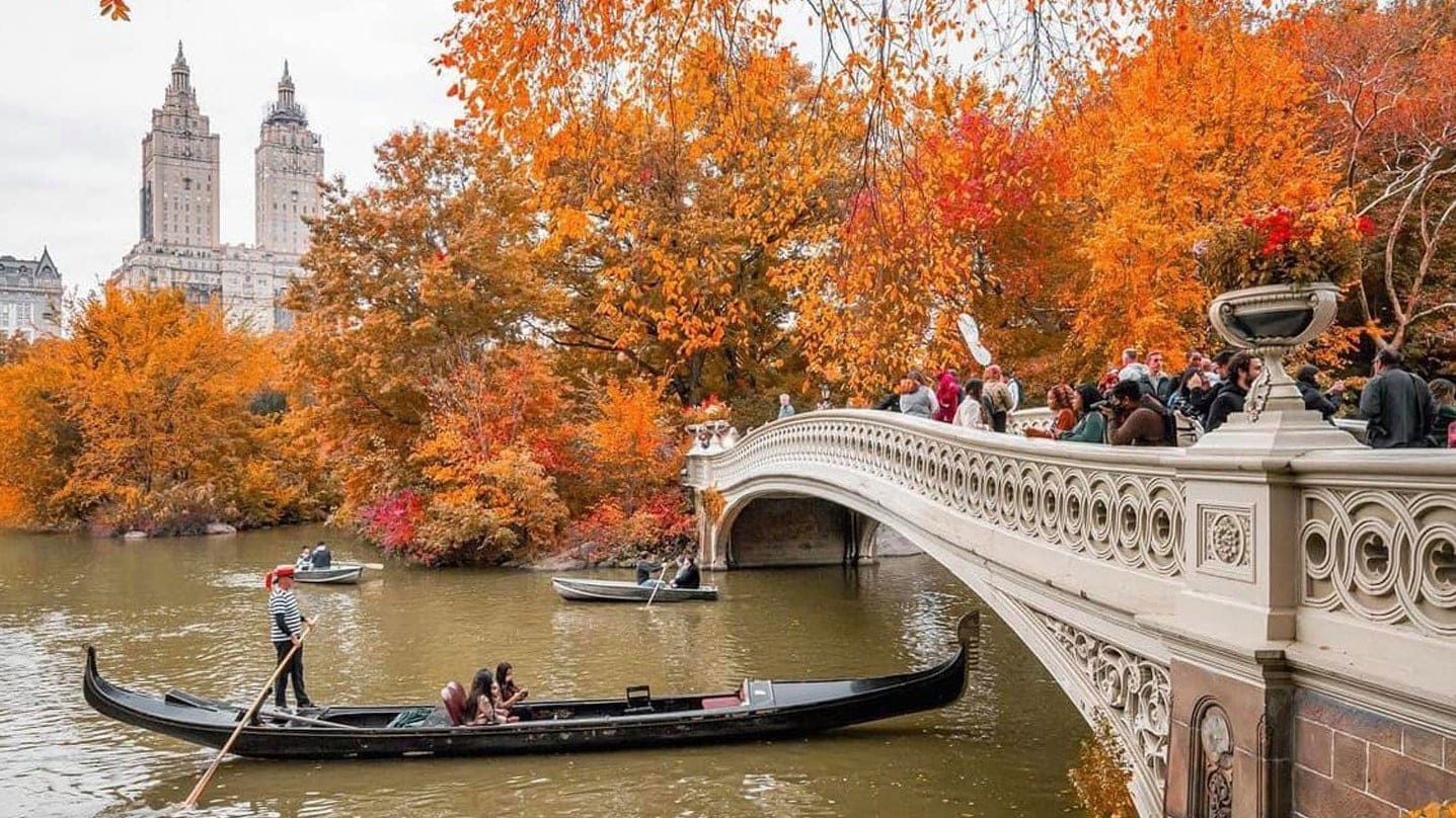 Hotel review Location' - The Lowell - 1