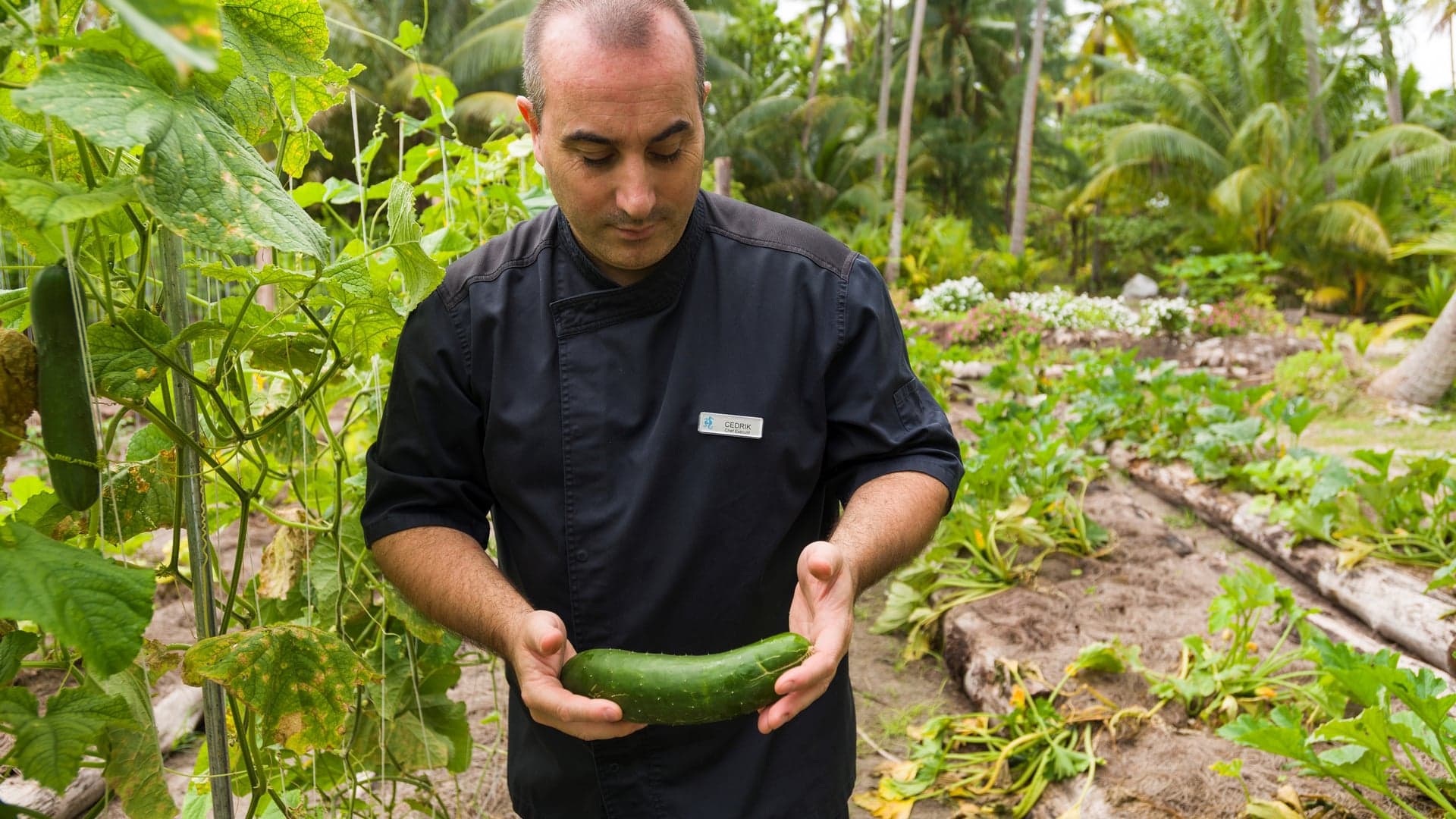 Hotel review Sustainability' - The Brando - 1