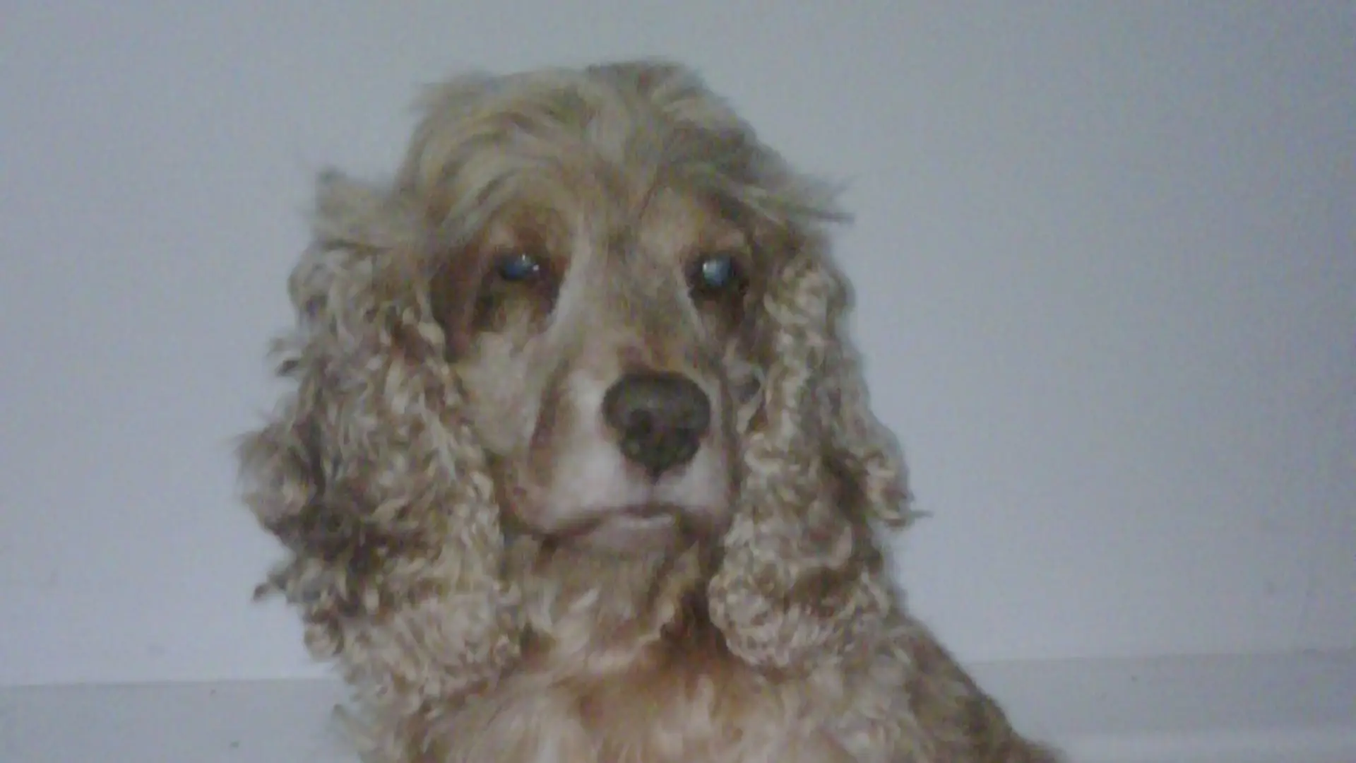 Hotel review What We Love' - The Athenaeum Hotel & Residences  - 4