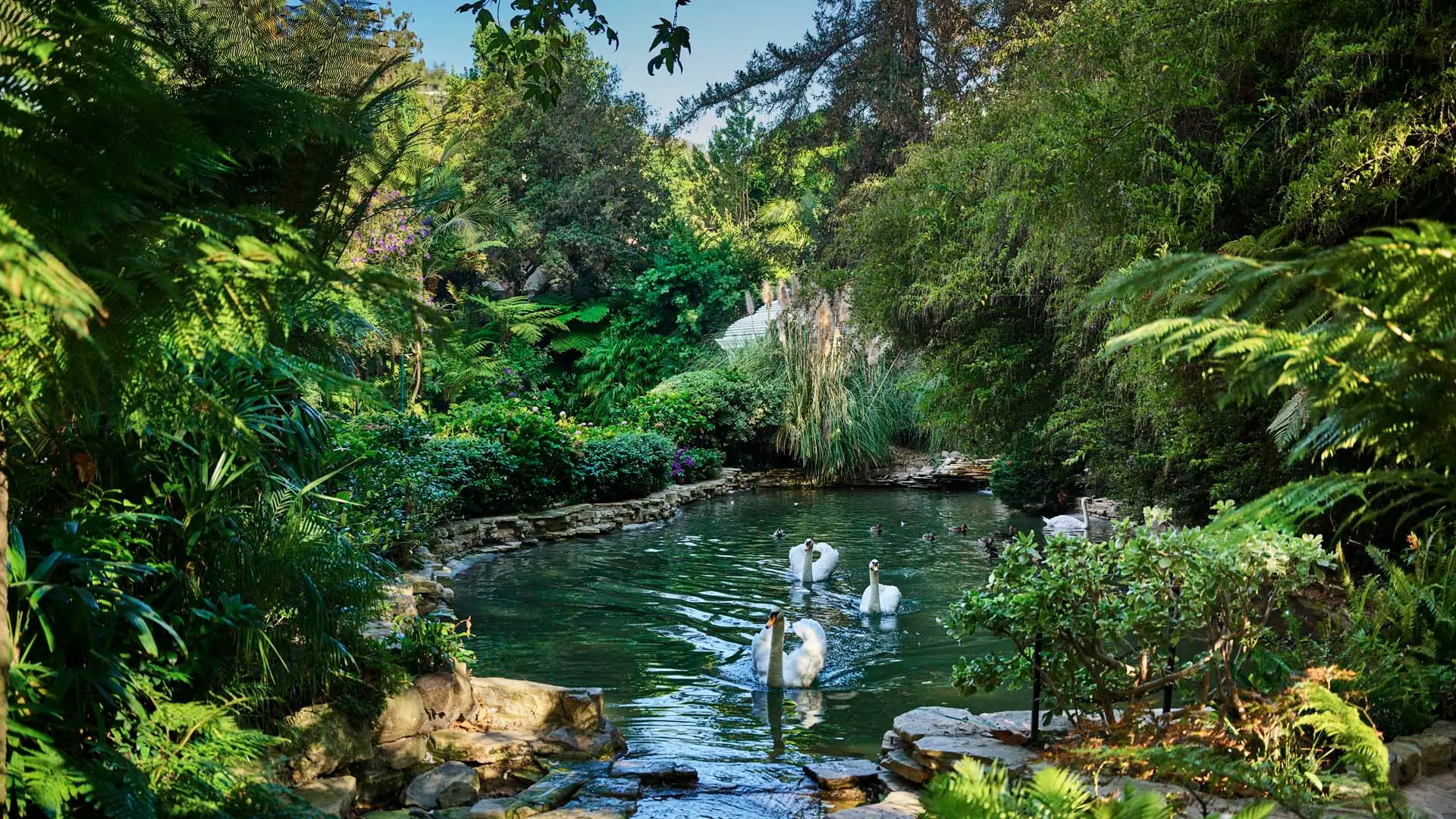 Review of Hotel Bel-Air - 9