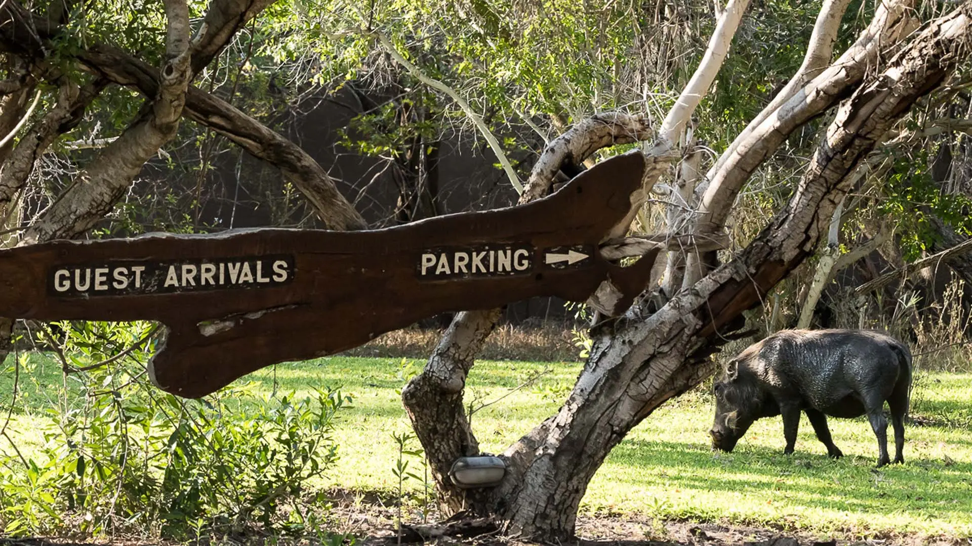 Hotel review Location' - Sabi Sabi Private Game Reserve  - 0