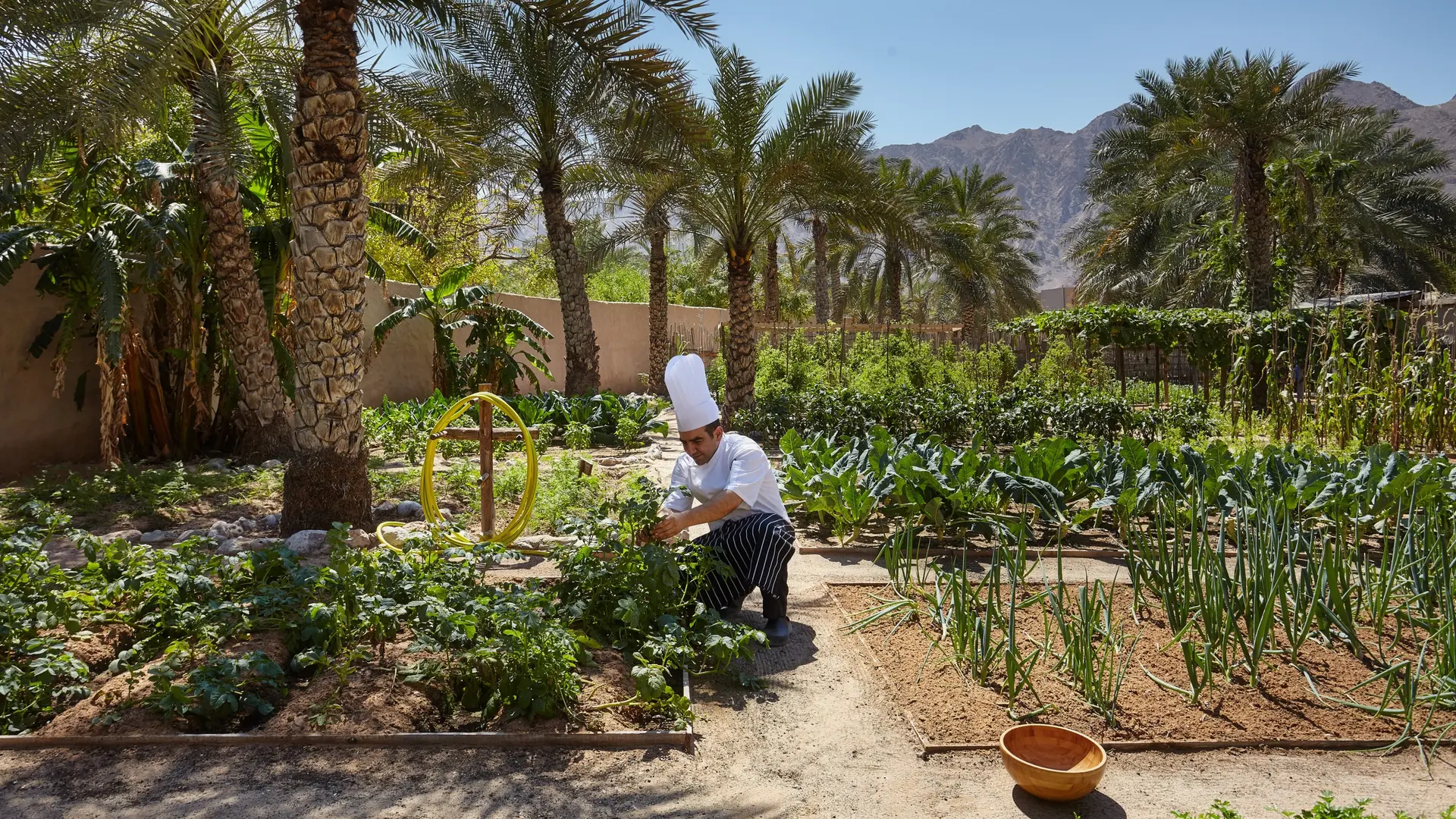 Hotel review Sustainability' - Six Senses Zighy Bay - 0