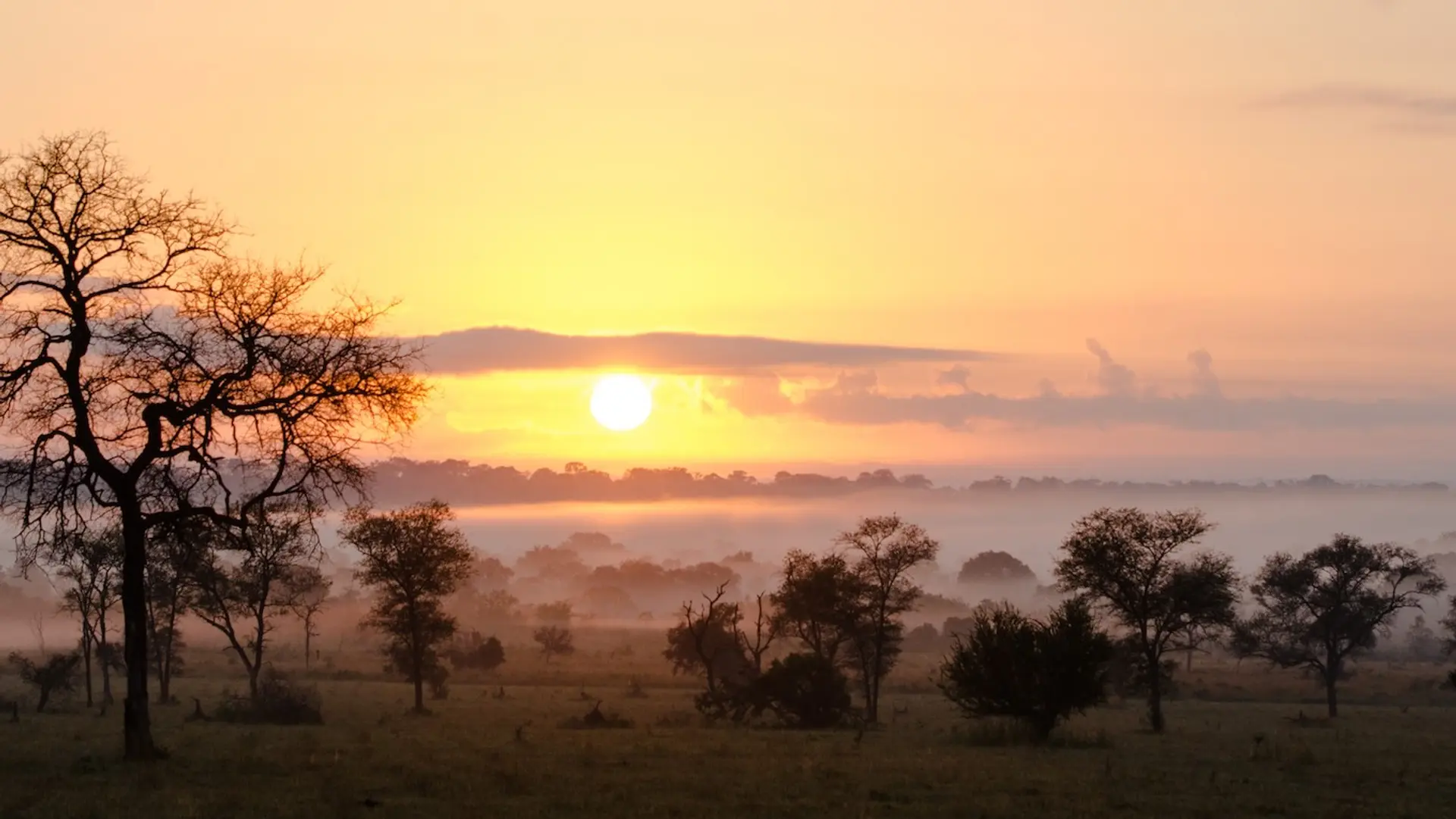 Hotel review Location' - Sabi Sabi Private Game Reserve  - 1