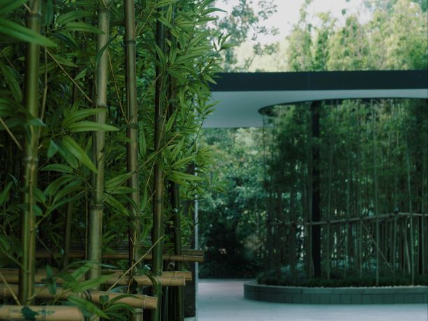 Verified hotel review - The Puli Hotel And Spa - 56