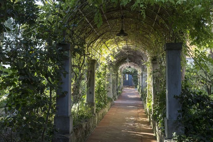 Palazzo Margherita - 42