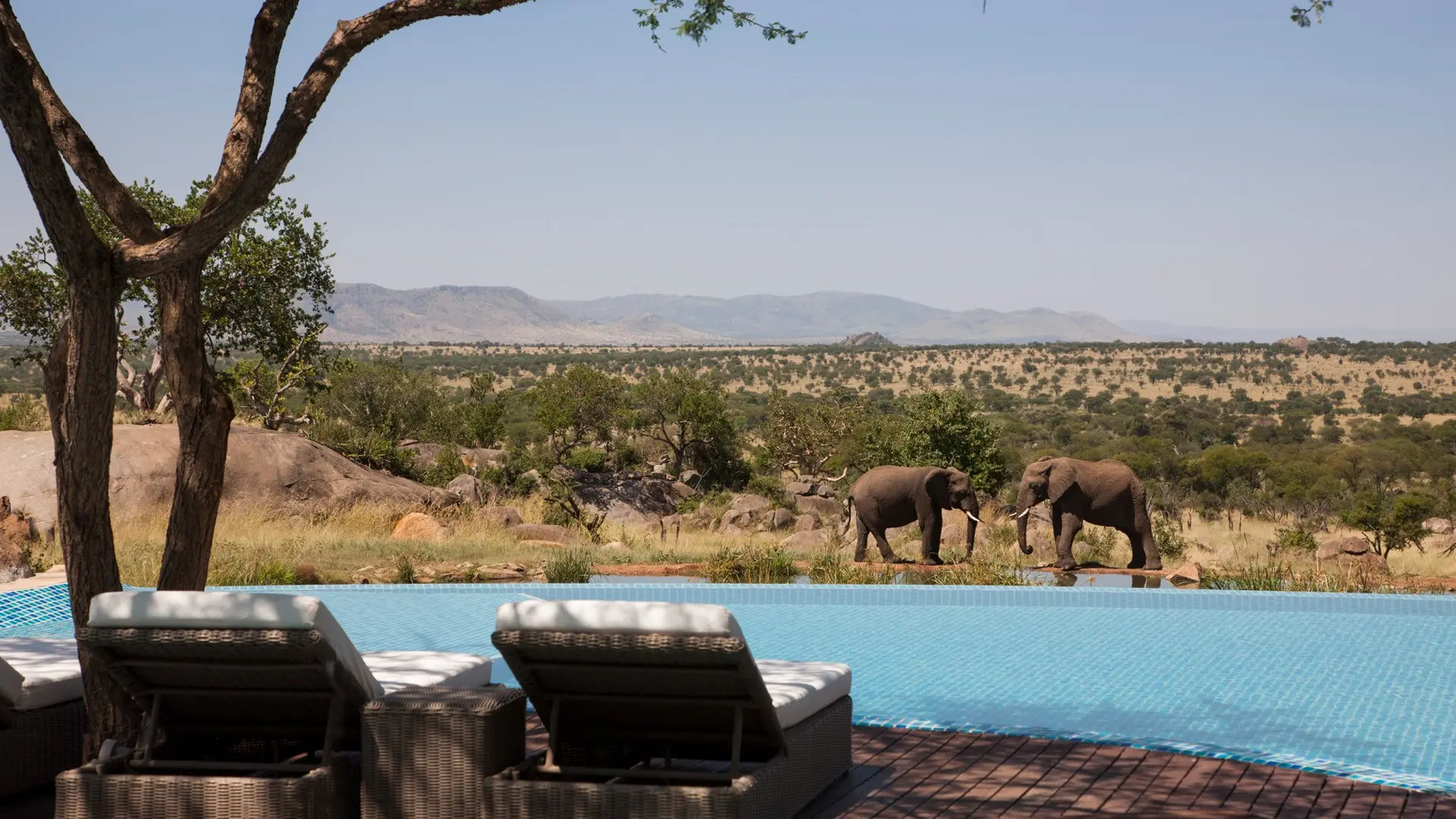 Review of Four Seasons Safari Lodge Serengeti