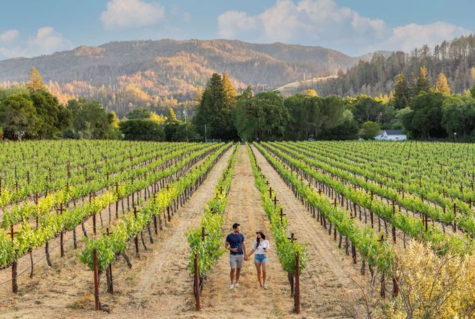 Alila Napa Valley - 29