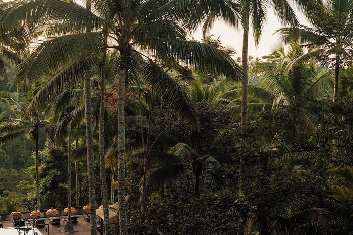 Verified hotel review - Capella Ubud Bali - 57