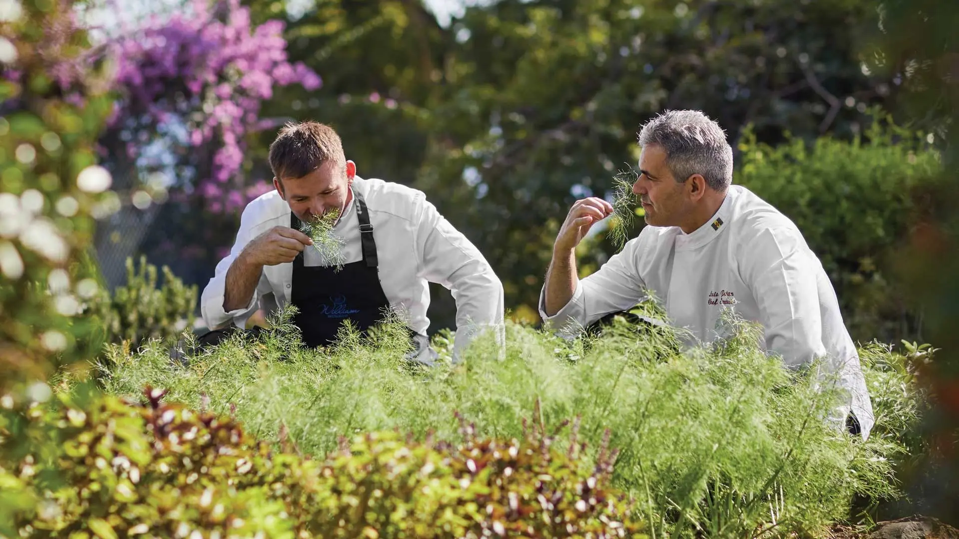 Hotel review Sustainability' - Belmond Reid's Palace - 1