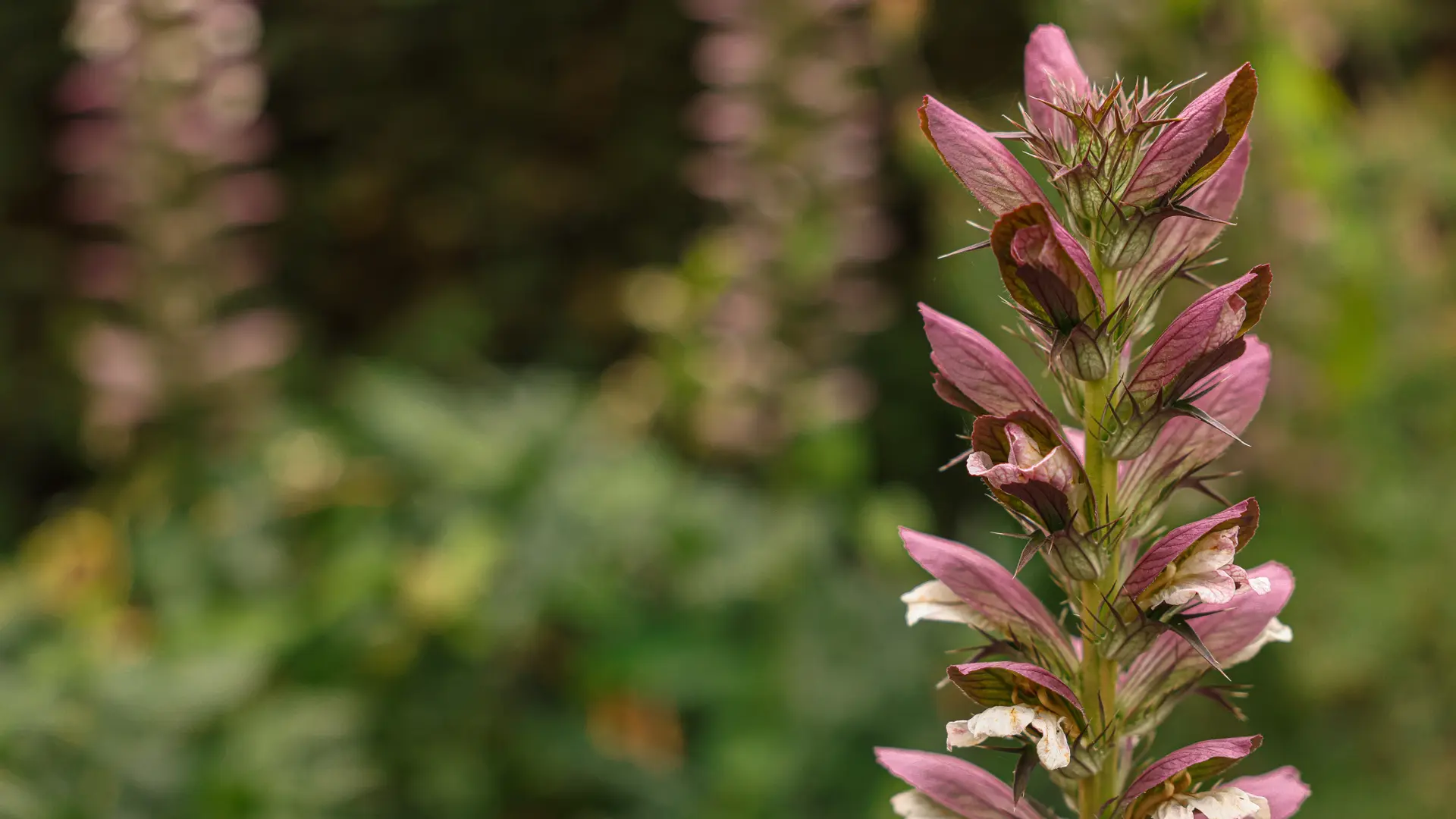 Hotel review Sustainability' - Thornbury Castle - 0