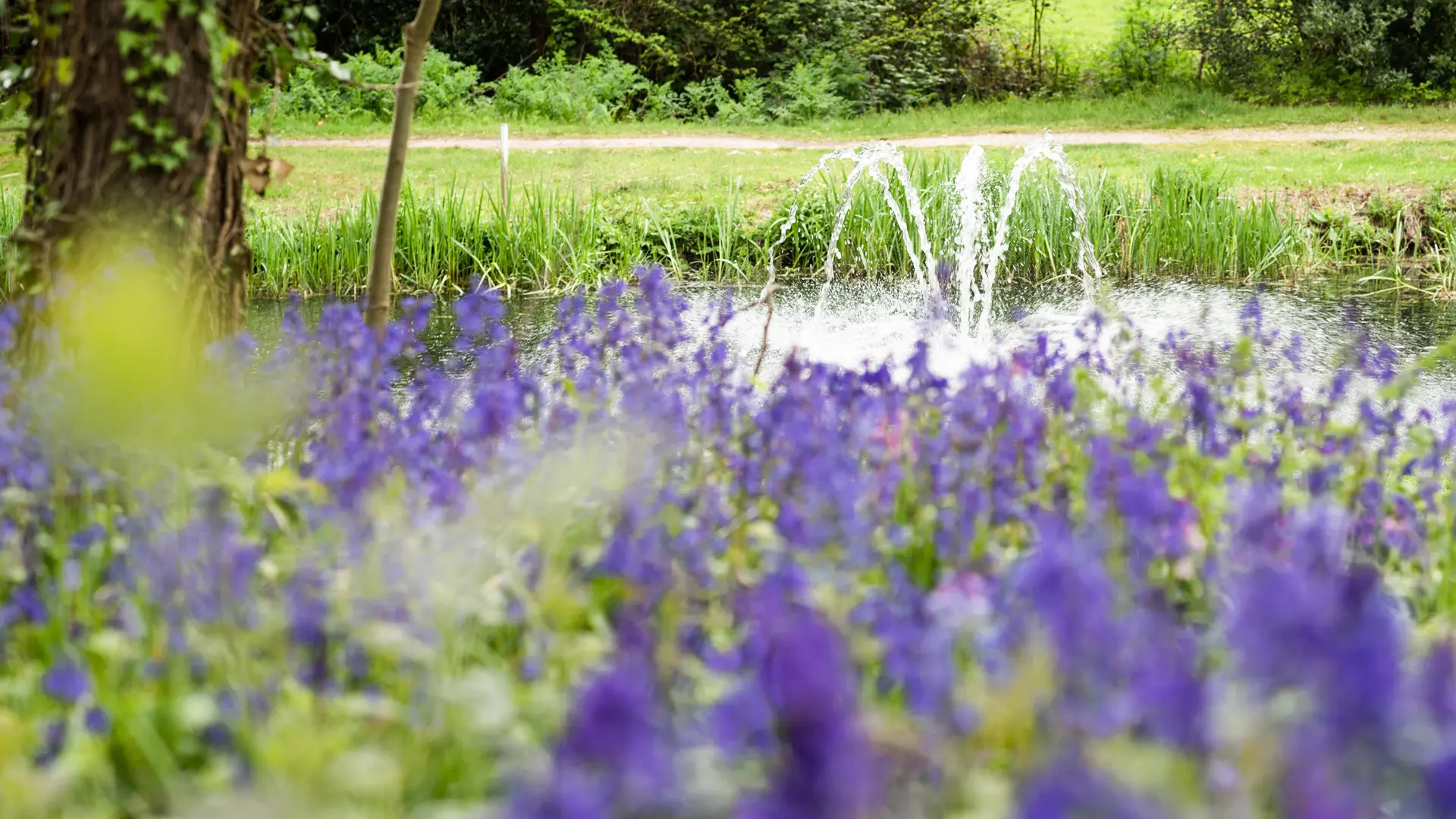 Hotel review Sustainability' - Chewton Glen Hotel - 2