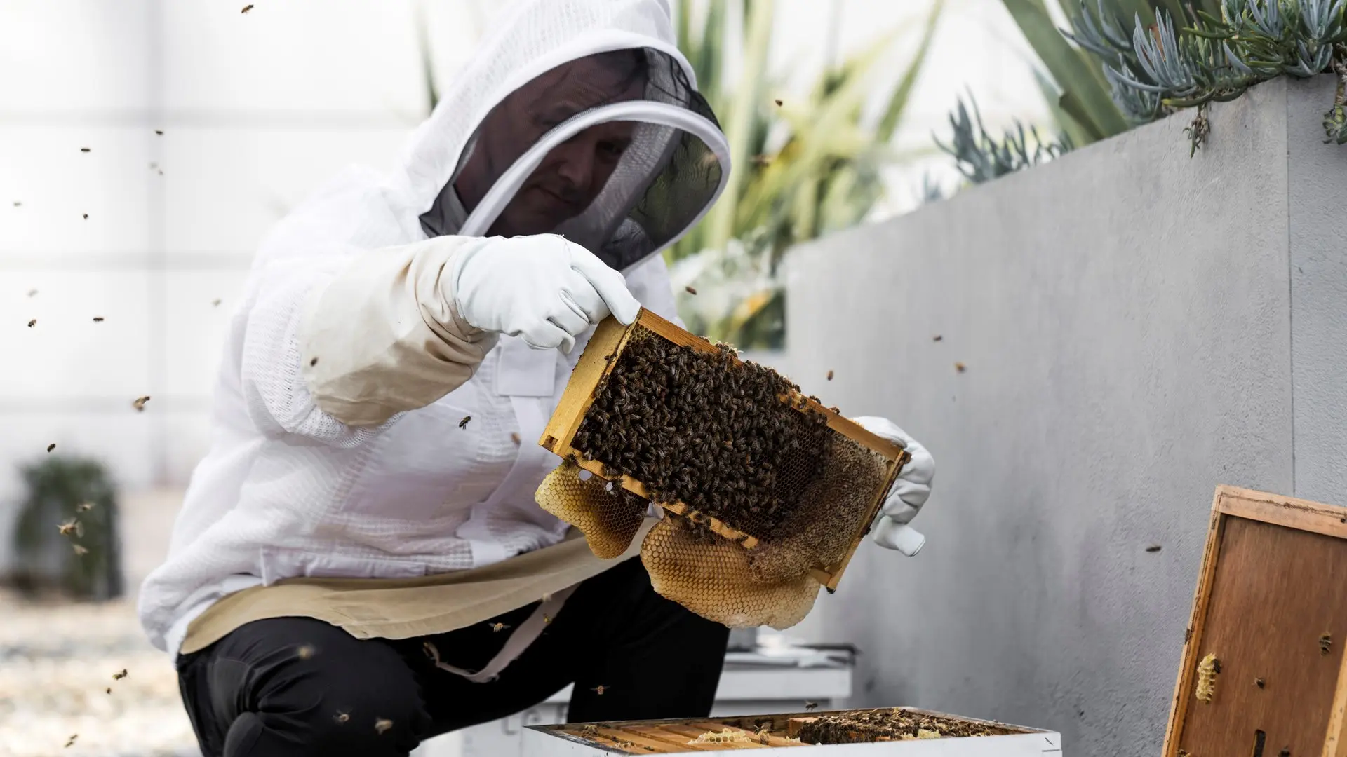 Hotel review Sustainability' - Four Seasons Hotel San Francisco - 0