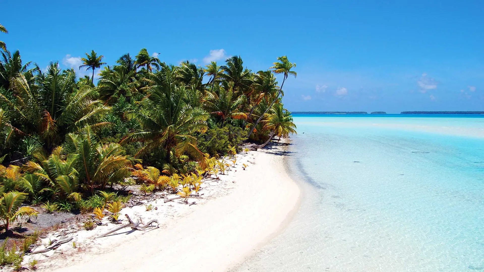 Review of The Brando - 9