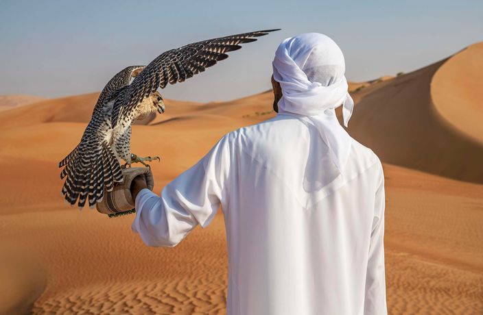 Anantara Qasr Al Sarab Desert Resort