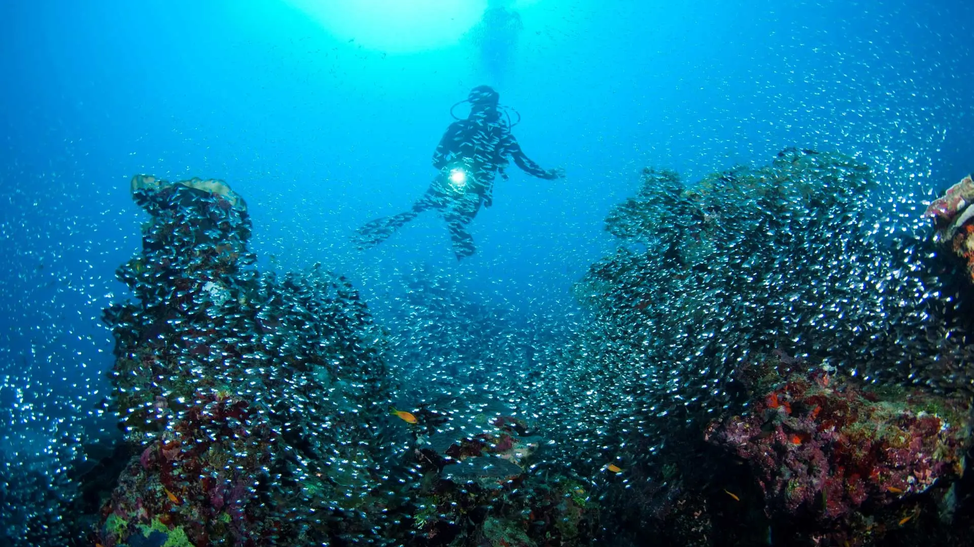 Hotel review Service & Facilities' - Park Hyatt Maldives Hadahaa - 4