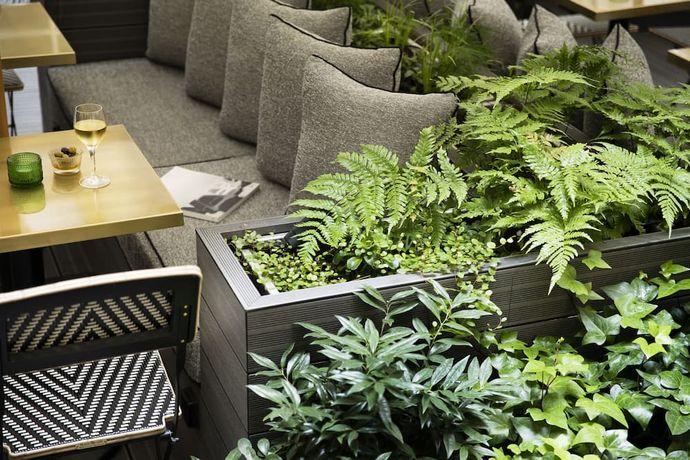 Verified hotel review - Hôtel D'Aubusson - 15