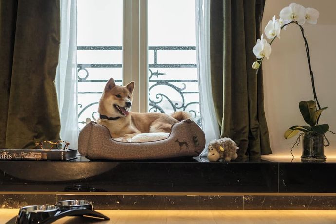 Verified hotel review - Hyatt Paris Madeleine - 44