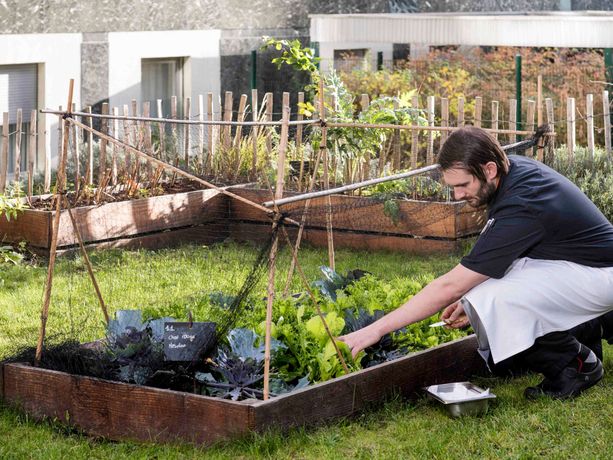 Pullman Paris Tour Eiffel - 5